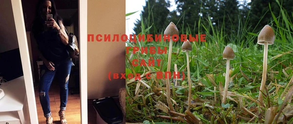 бошки Елизово